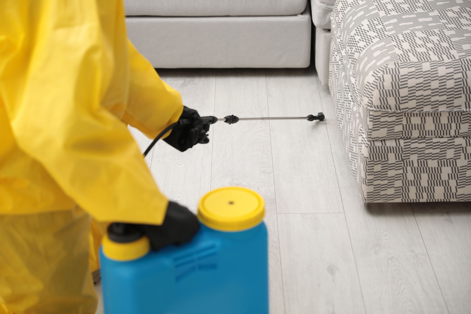 Pest control worker spraying pesticide under furniture indoors, closeup