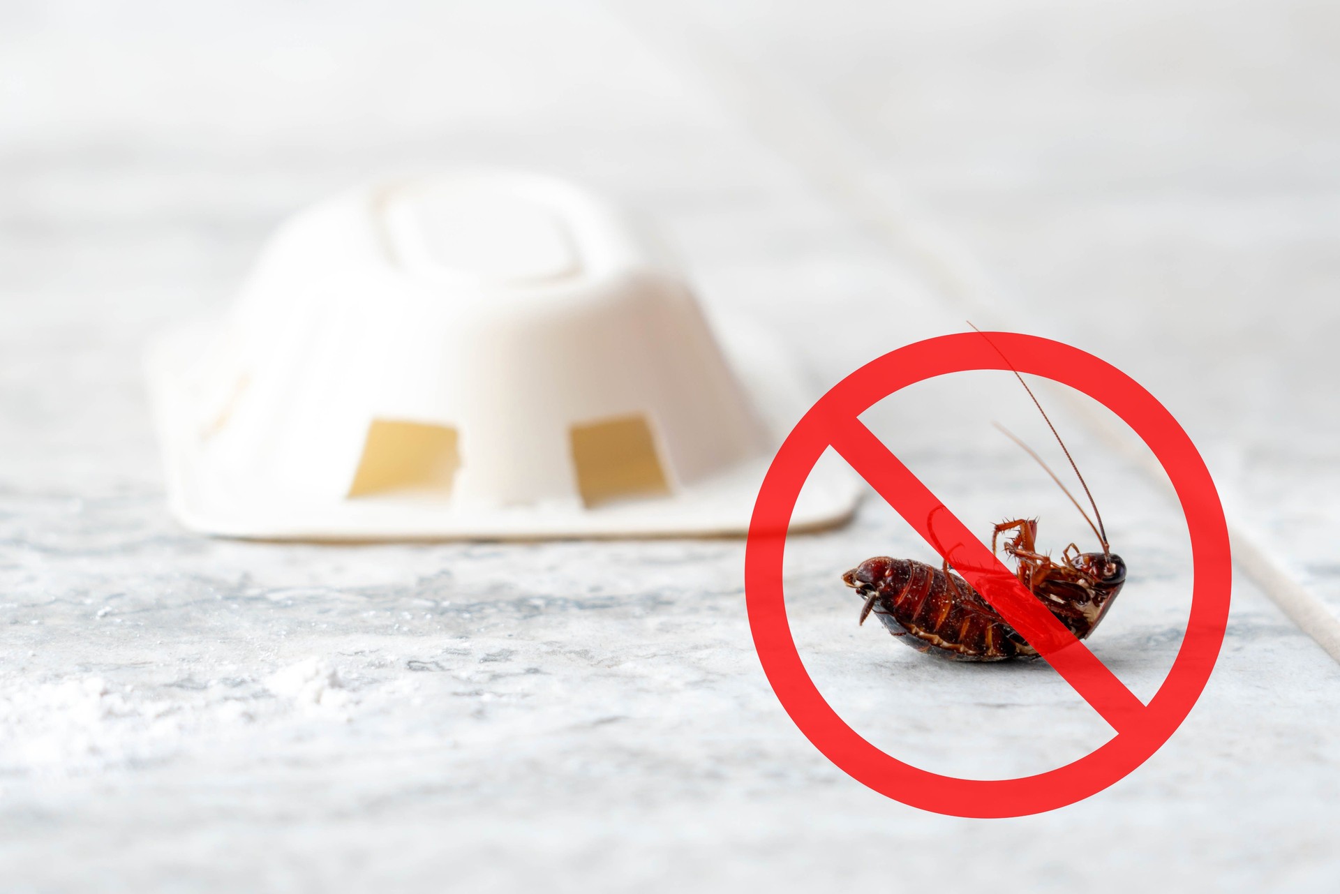 Anti cockroach, pest control concept. Stop insects sign. Cockroach with caution sign, pest control in red forbidding circle